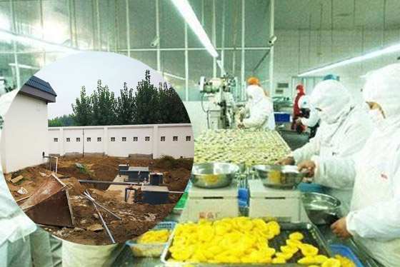 mbr膜一体化污水处理设备适用环境-食品工厂